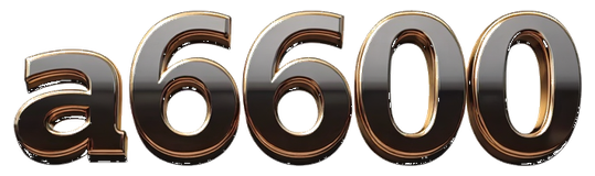 a6600 logo